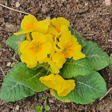 The Titanic House Hotel Pamukkale