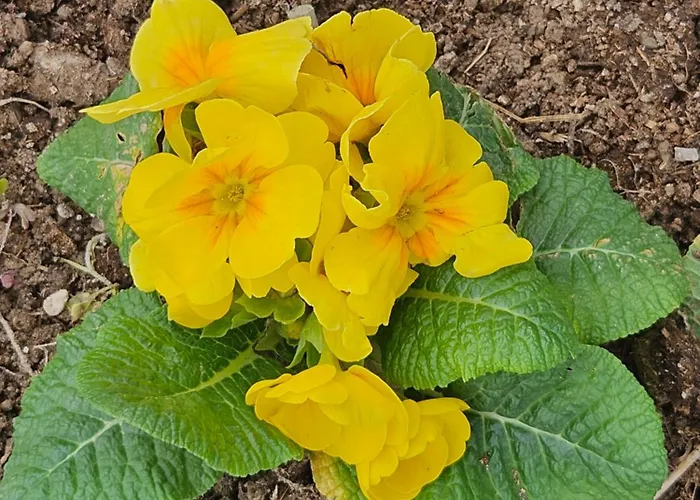 The Titanic House Hotel Pamukkale